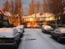 snow